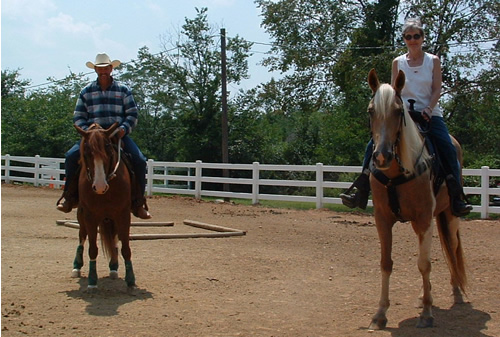 horse trainer, horse training